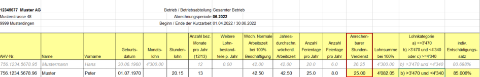 Muster - Stammdaten Mitarbeitende Stundenlohn