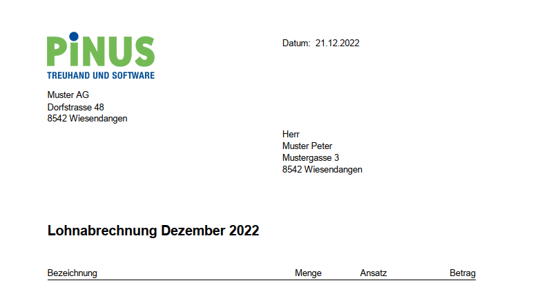 Muster Lohnabrechnung mit Logo